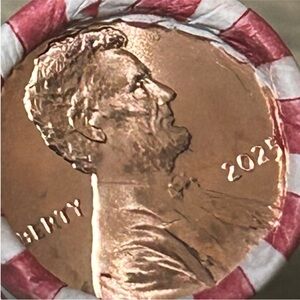 2025 Unsearched Bank of Pennies !! Get them before there all gone